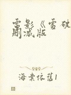 电影《处破》未删减版