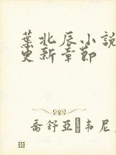 叶北辰小说最新更新章节