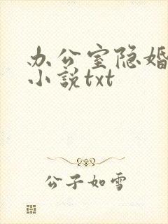 办公室隐婚轻黯小说txt