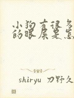 小狗有很多黄色的眼屎是怎么回事