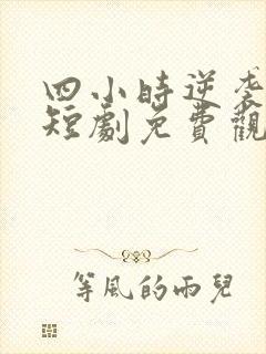 四小时逆袭指南短剧免费观看