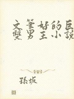 文笔好的巨冷门双男主小说