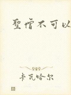 圣僧不可以