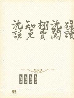 沈知栩沈砚星小说免费阅读最新章节