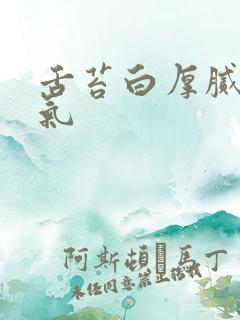 舌苔白厚腻有口气