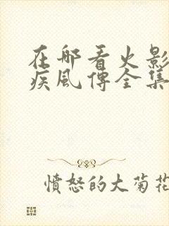 在哪看火影忍者疾风传全集