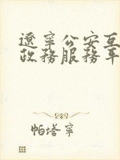 辽宁公安互联网政务服务平台