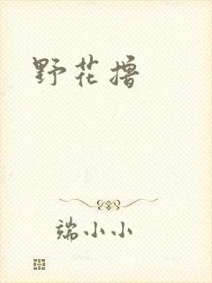 野花撸
