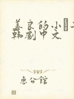 善良的小峓子2韩剧中文