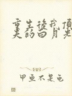 重生后我顶替前夫的白月光