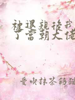 被退亲后我嫁给了当朝大佬 txt