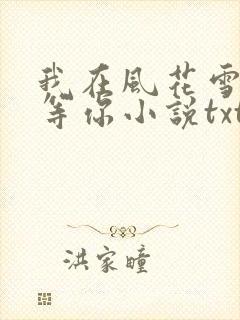 我在风花雪月里等你小说txt