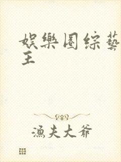 娱乐圈综艺双男主