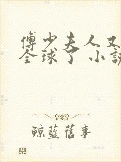 傅少夫人又惊艳全球了 小说