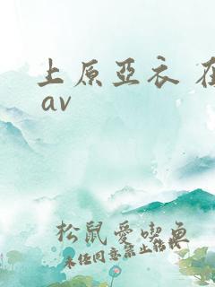 上原亚衣 在线 av