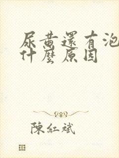 尿黄还有泡泡是什么原因