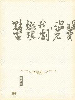 点燃我,温暖你电视剧免费看