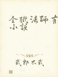 全职法师有声 小说