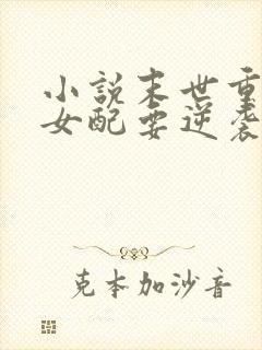 小说末世重生之女配要逆袭