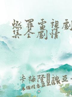 燃罪电视剧36集全剧情