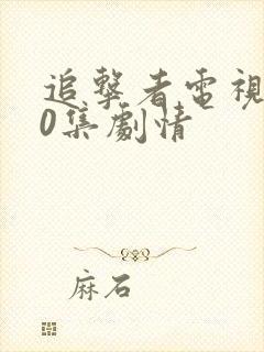 追击者电视剧40集剧情