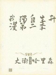 我独自生升级动漫第二季