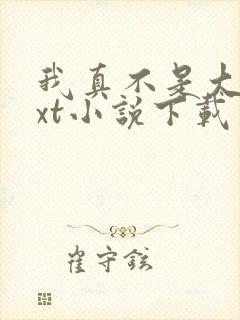 我真不是大佬txt小说下载