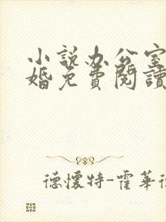 小说办公室的隐婚免费阅读