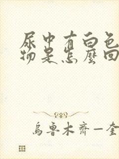 尿中有白色絮状物是怎么回事