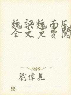 魏梁魏南风po全文免费阅读笔趣阁