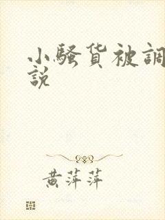 小骚货被调教小说