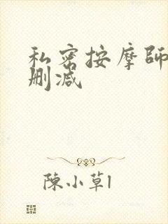 私密按摩师 未删减