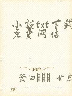 小说txt下载免费网站