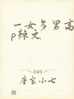 一女多男高hnp辣文