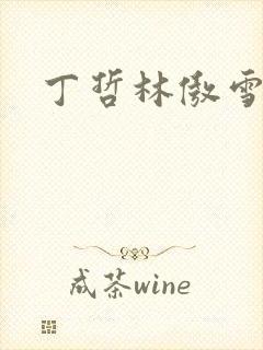 丁哲林傲雪小说