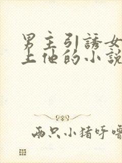 男主引诱女主爱上他的小说