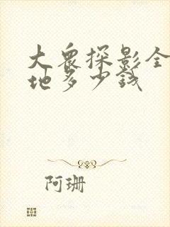 大众探影全款落地多少钱