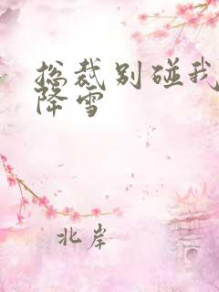 总裁别碰我 韩降雪