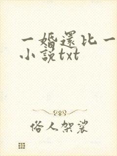 一婚还比一婚高小说txt