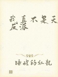 我真不是天命大反派
