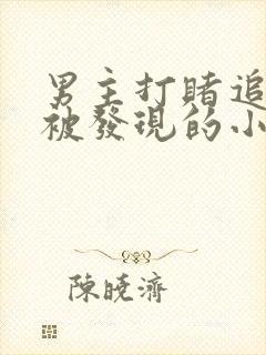 男主打赌追女主被发现的小说