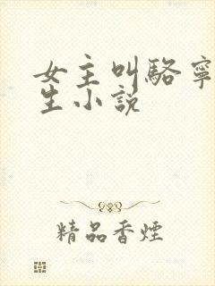 女主叫骆宁的重生小说