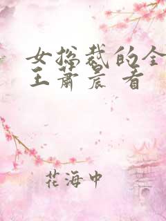 女总裁的全能兵王萧晨 看