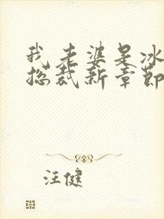 我老婆是冰山女总裁新章节沈浪