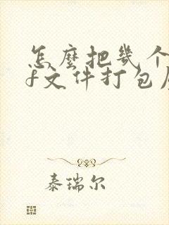 怎么把几个pdf文件打包压缩