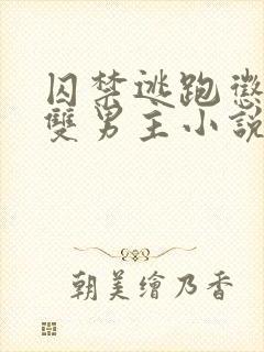 囚禁逃跑惩罚的双男主小说免费攻受