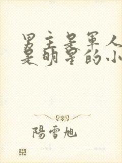 男主是军人女主是明星的小说