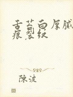 舌苔白厚腻有齿痕裂纹