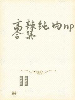 高辣纯肉np文合集