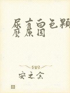 尿有白色颗粒什么原因